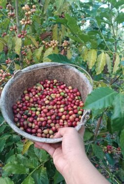 berita-rekomendasi-foto