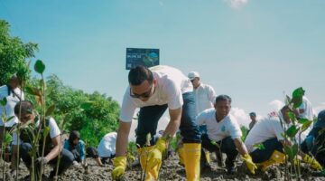 Peringati Hari Bumi, InJourney Perkuat Komitmen Keberlanjutan melalui Program InJourney Green bersama ITDC dengan Rehabilitasi Mangrove di KEK Mandalika