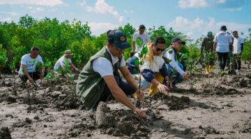 InJourney dan ITDC Tanam 20 Ribu Mangrove, Perkuat The Mandalika sebagai Destinasi Wisata Berkelanjutan